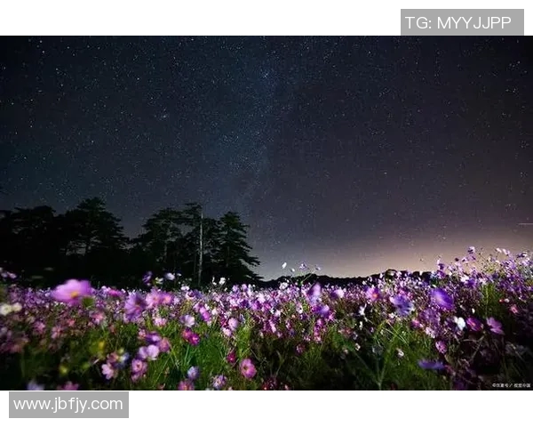 蒋燕皎：在历史长河中绽放的璀璨之花与她的传奇人生